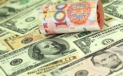 安徽自由贸易试验区合肥区支行爱老敬老，守护美好时光